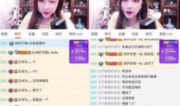 老挝主播爆料视频播放网站,视频播放网站背后的惊人内幕