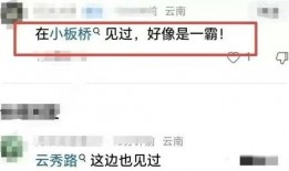 老司机免费爆料黑料视频在线观看,黑料视频在线观看全解析