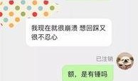 爆料视频怎么投稿,投稿背后的精彩瞬间