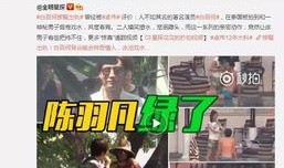 东京阿鸡爆料视频大全,揭秘都市生活幕后真相