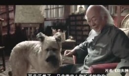 功夫神犬全集在线观看,忠诚守护，热血激战