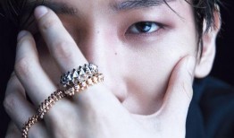 伯贤最新爆料,新作品背后的故事与灵感来源