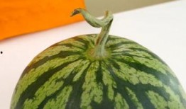 霸州最新的瓜爆料,揭秘背后惊人真相