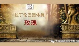 伦巴最新爆料,揭秘娱乐圈背后的惊人真相