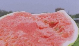 名星网红吃瓜是谁,揭秘名星网红“吃瓜”背后的真相与内幕