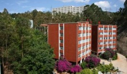 太原师范爆料事件最新进展,真相逐步浮出水面，官方调查进展更新