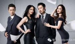 离婚律师在线观看全集,在线观看全集，揭秘婚姻破裂背后的法律智慧