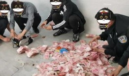 网友爆料李二航被抓视频,网友热议事件真相