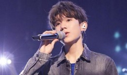 天涯娱乐爆料王源,天涯娱乐独家揭秘