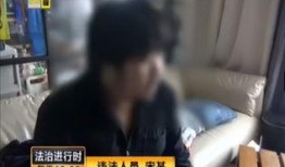 爆料爆料开头视频,爆料开头视频背后的惊人真相