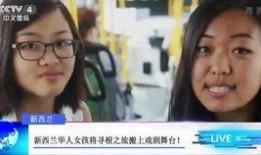 河南女孩爆料新闻报道最新,揭开校园霸凌背后的惊人真相
