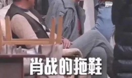 娱乐圈吃瓜爆料回放视频,那些年我们吃过的瓜