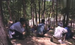 射日电影在线观看