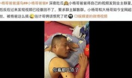 杨爸爆料视频大全最新一期,揭秘娱乐圈幕后真相