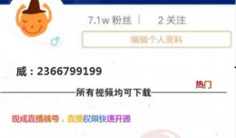 闲云技能爆料最新视频,揭秘最新视频中的神秘技能亮点