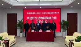 安徽芜湖今日头条新爆料,揭秘背后惊人真相！