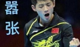 资深爆料张继科视频播放,资深爆料视频背后的精彩瞬间